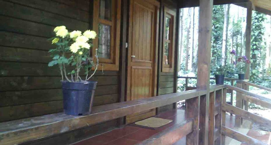 Vibez Homestay, Chikmaglur 5